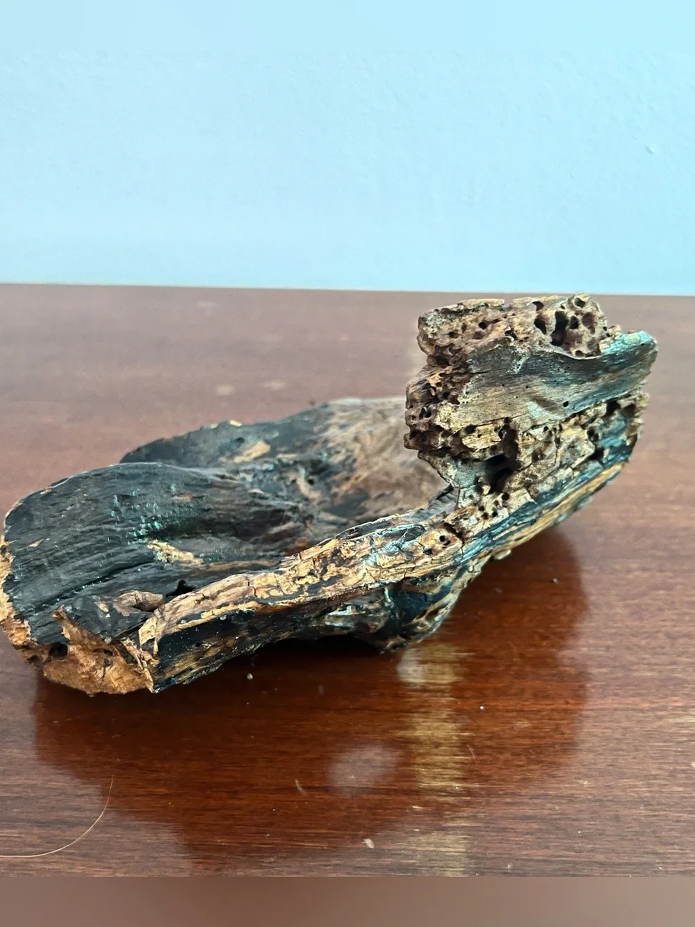 Natural Driftwood Hide for Reptile & Invertebrate Terrariums